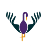 Purple Heron Hospital